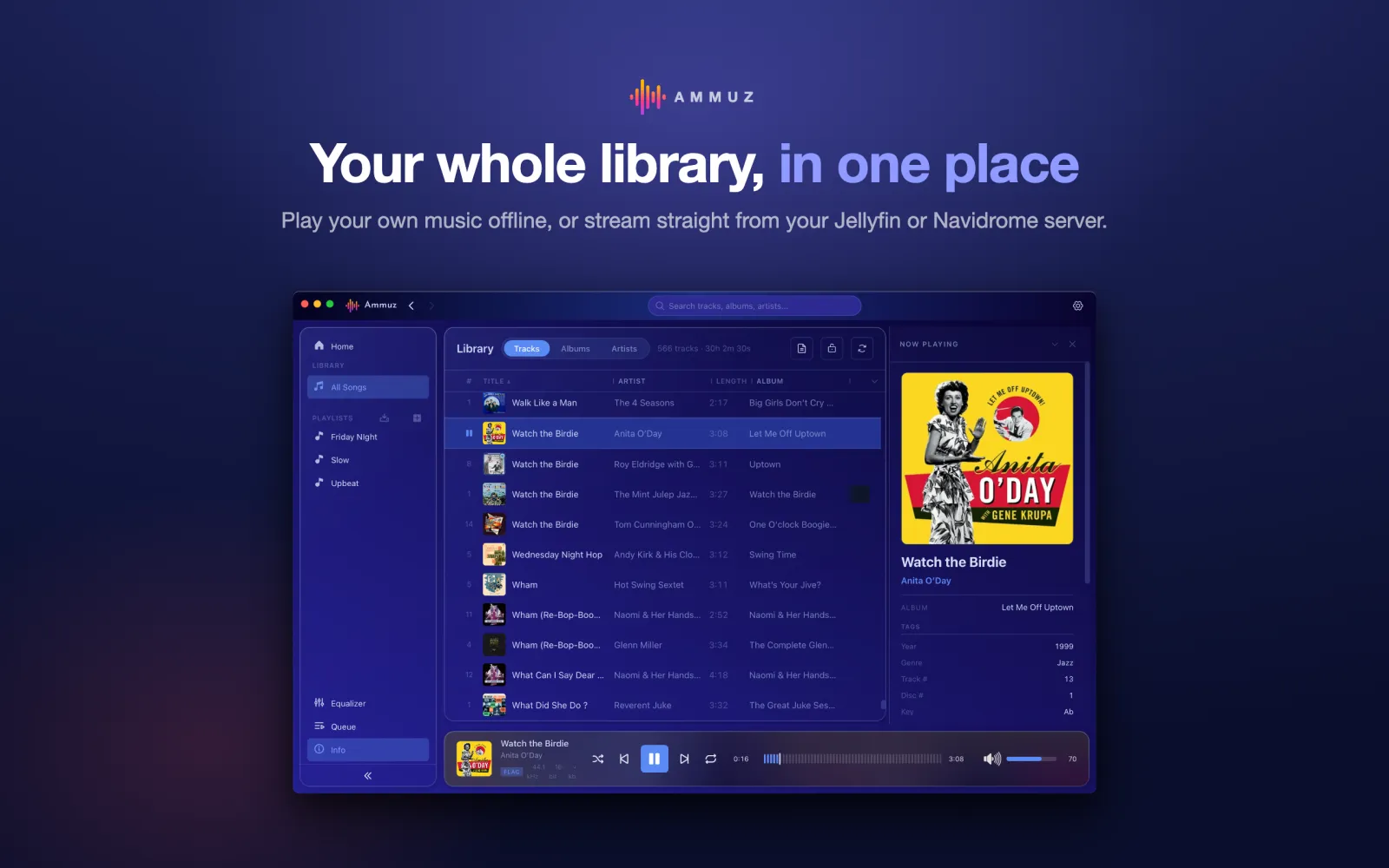 Ammuz library view showing tracks, now playing and track details