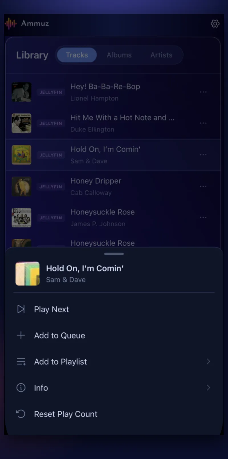 Ammuz on iPhone showing the quick actions sheet: play next, add to queue, add to playlist