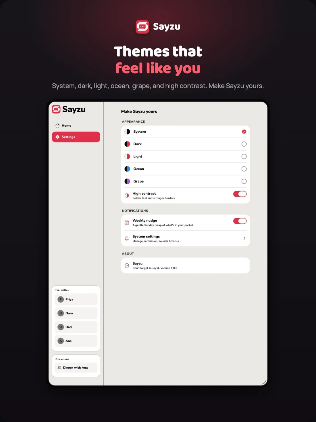 Sayzu settings on iPad showing system, dark, light, ocean, grape and high contrast themes